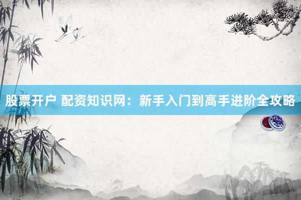 股票开户 配资知识网：新手入门到高手进阶全攻略