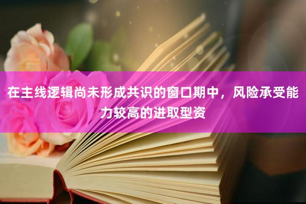 在主线逻辑尚未形成共识的窗口期中，风险承受能力较高的进取型资